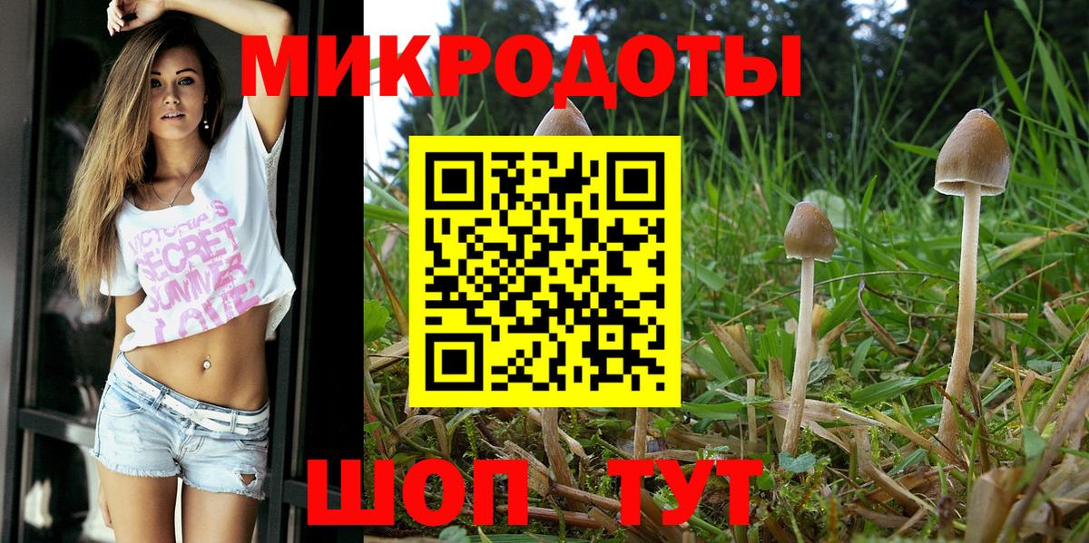 Галлюциногенные грибы мицелий Верхняя Салда