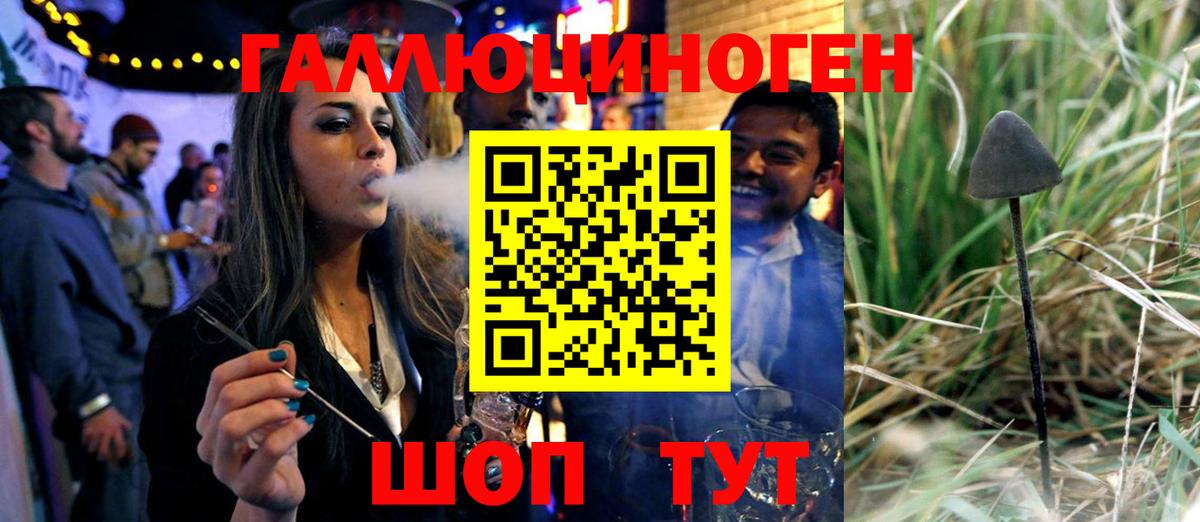 Галлюциногенные грибы мухоморы  Вход с VPN  Верхняя Салда  Псилоцибиновые грибы Psilocybe 